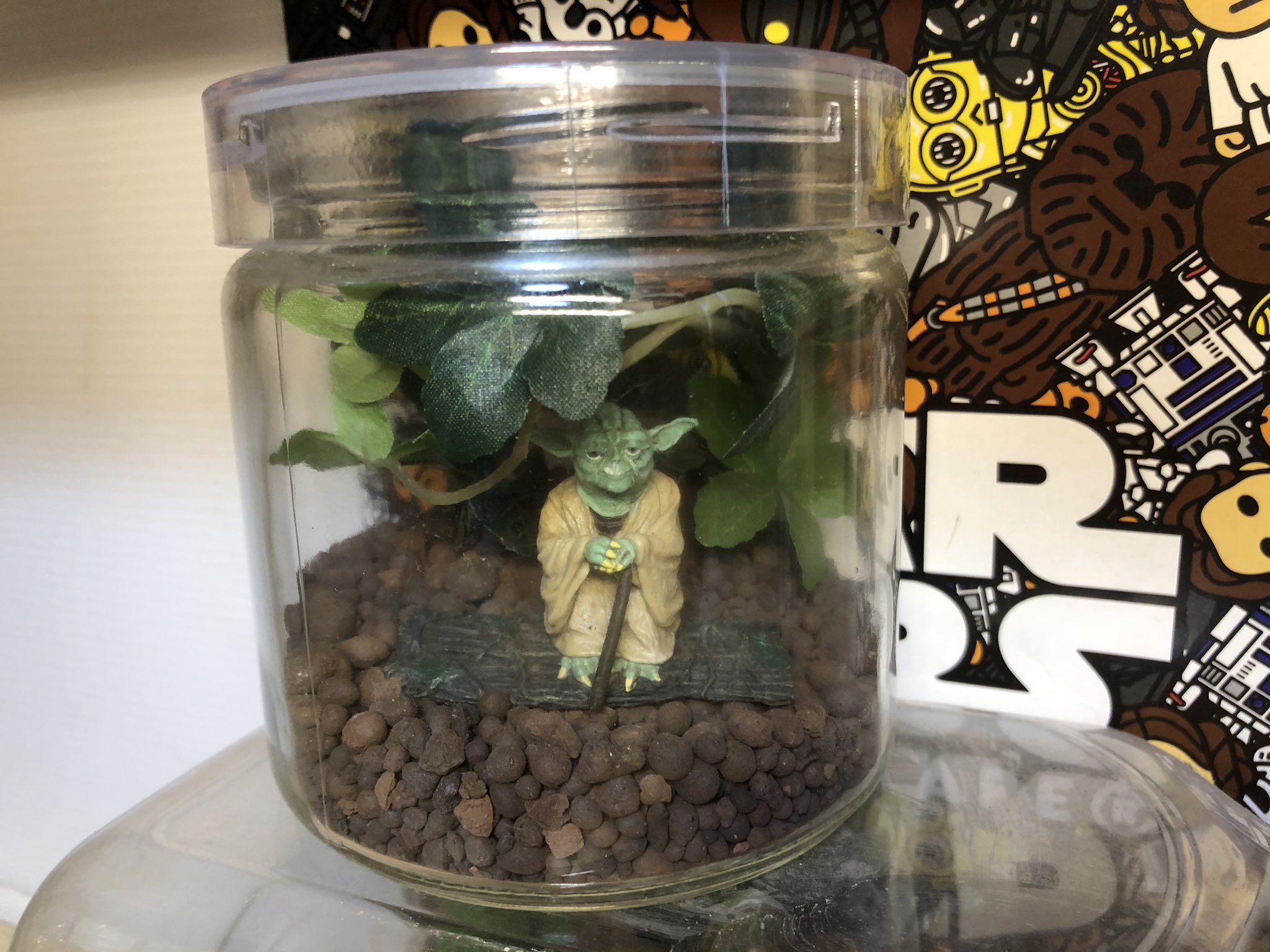 Snake52 テラリウムと言っていいのか分からないけど そんな感じのマスターヨーダ 昔 ペプシ に付いてたフィギュアを 100均の容器 ハイドロボール フェイクグリーンで装飾 マスターヨーダ T Co 9pwudpdcya Twitter