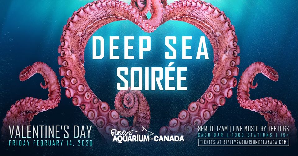 Disfruta de las burbujas de amor de las que habla Juan Luis Guerra en Ripley's Aquarium of Canada este Día de San Valentín. Habrá música en vivo y un menú exquisito.
#VisitaToronto