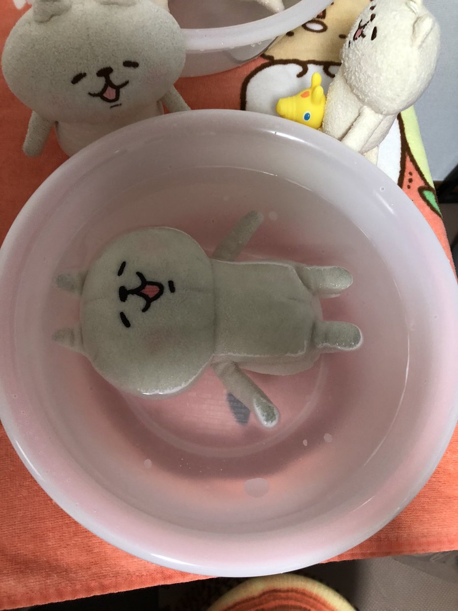 ぬいぐるみ用のシャンプー トリートメントの説明書きがぬいぐるみ愛にあふれてて素敵 大丈夫だよ 綺麗になるからね Togetter