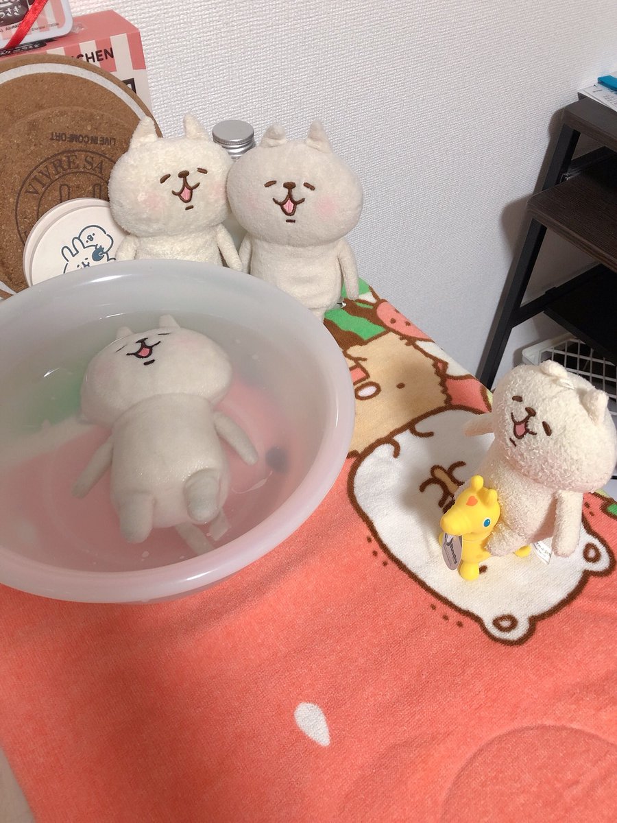 ぬいぐるみ用のシャンプー トリートメントの説明書きがぬいぐるみ愛にあふれてて素敵 大丈夫だよ 綺麗になるからね Togetter