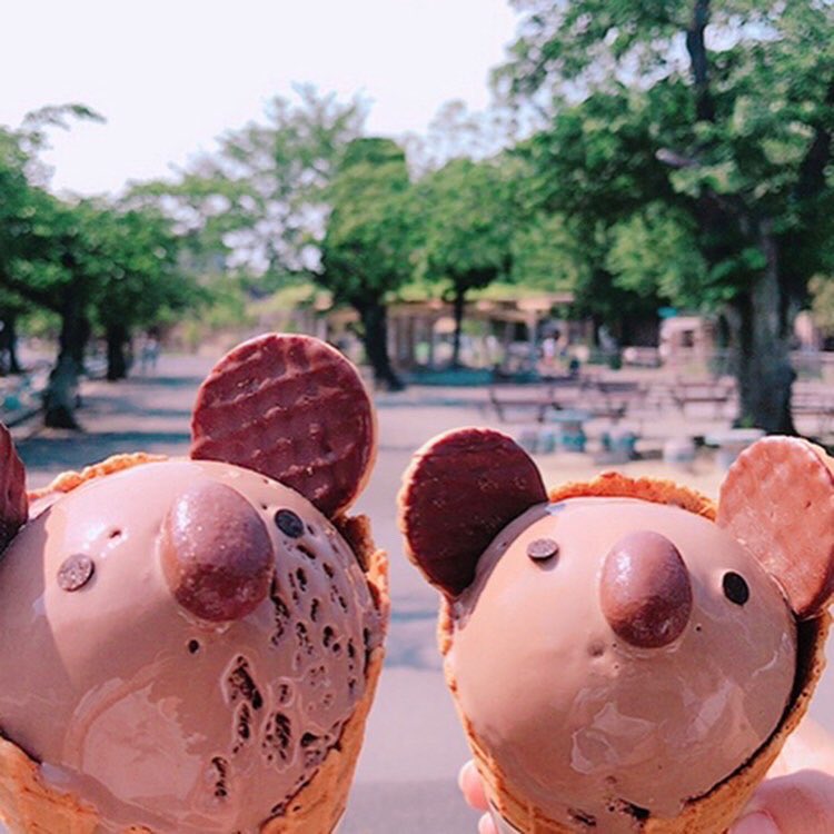 milanostyle8's tweet photo. 1日早いけど、
ハッピーバレンタイン💝
#東山動物園 #バレンタイン #チョコ #アイス #ジェラート #コアラアイス #コアラ #スイーツ #動物園 #名古屋 #名古屋観光
#カフェ
#higashiyamazoo #valentine
#chocolate #gelato #icecream
#koala #koalaice #sweets #zoo
#nagoya #cafe https://t.co/XNETBmSA0n