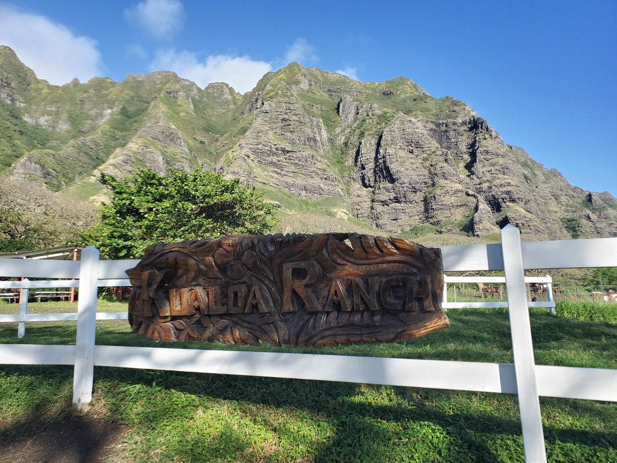 Chika 朝1番からクアロアランチへ ハワイアンにとっては神聖な地 コオラウ山脈を背に大自然の中を 2時間乗馬 しました 姉が手配してくれ 生まれて初めての乗馬 ドキドキでした 雪国まいたけ ハワイ旅行 感謝 クアロアランチ 初乗馬 姉に感謝 Chika 朝1番からクアロアランチへ ハワイアンにとっては神聖な地 コオラウ山脈を背に大自然の中を 2時間乗馬 しました 姉が手配してくれ 生まれて初めての乗馬 ドキドキでした 雪国まいたけ ハワイ旅行 感謝 クアロアランチ 初乗馬 姉に感謝