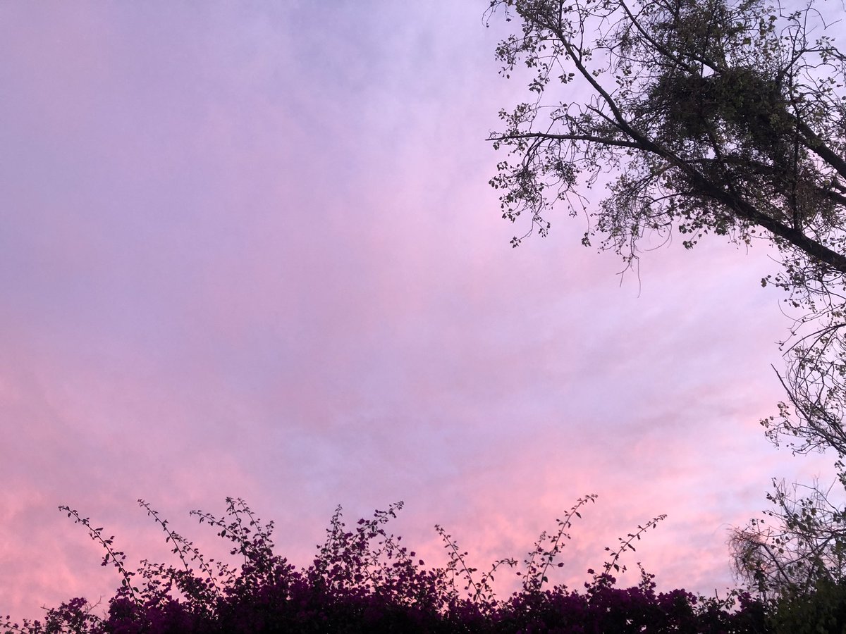 paulipster tweet media