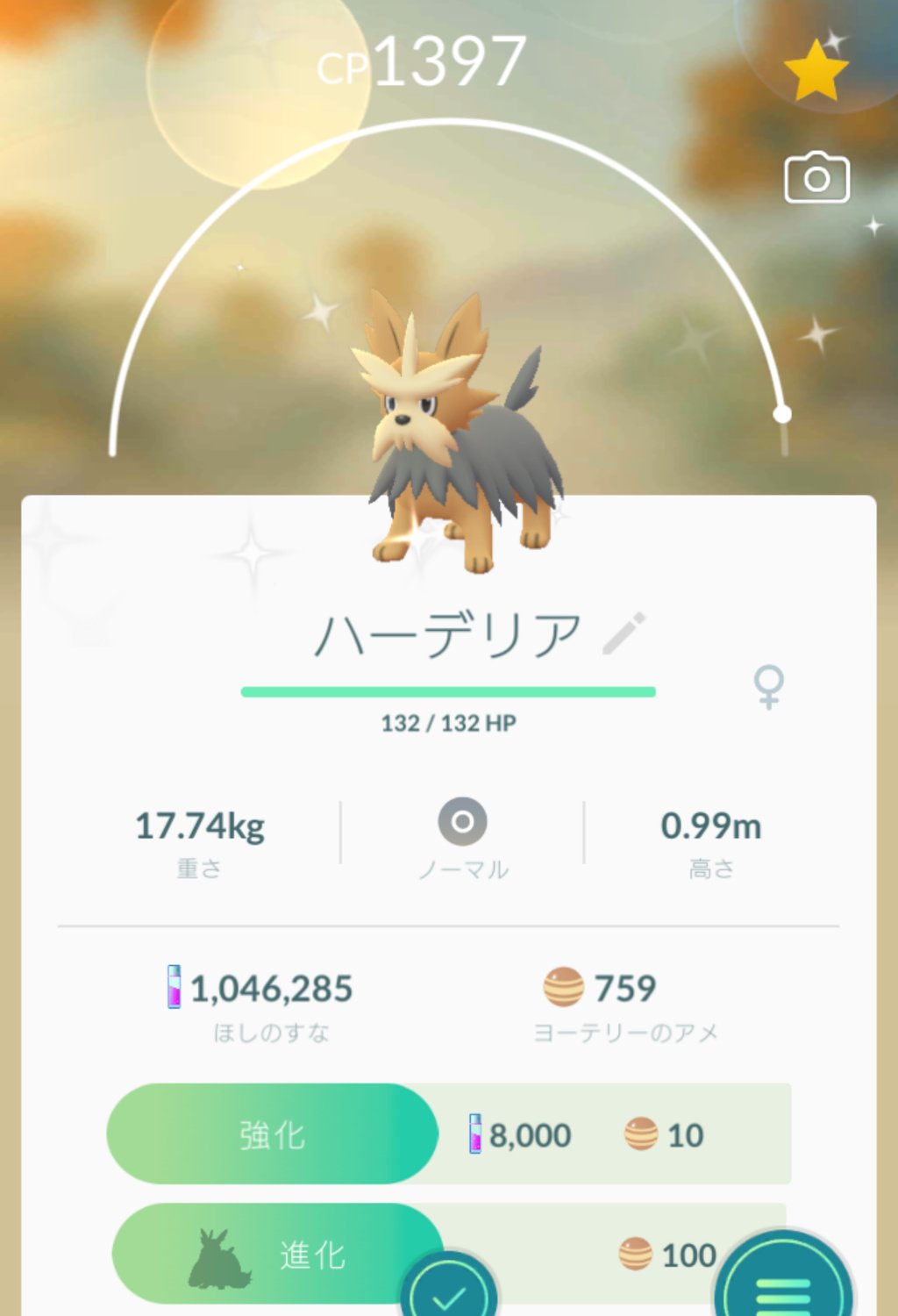 溝口 泰成 上野公園で色違いヨーテリーに出会いました 色違いヨーテリーに出会ったのは２度目 個体値は星２つ評価ですが 天候ブーストでcp高め 色違いムーランドにまで進化させました ポケモンgo ヨーテリー 色違いポケモン T Co