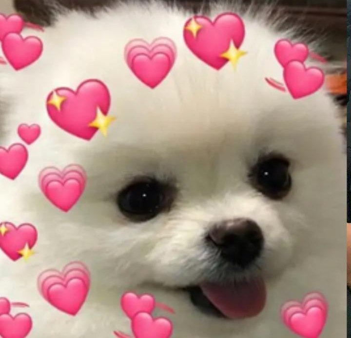 ‍‍ ‍ ‍. (@offtempx) on Twitter photo 