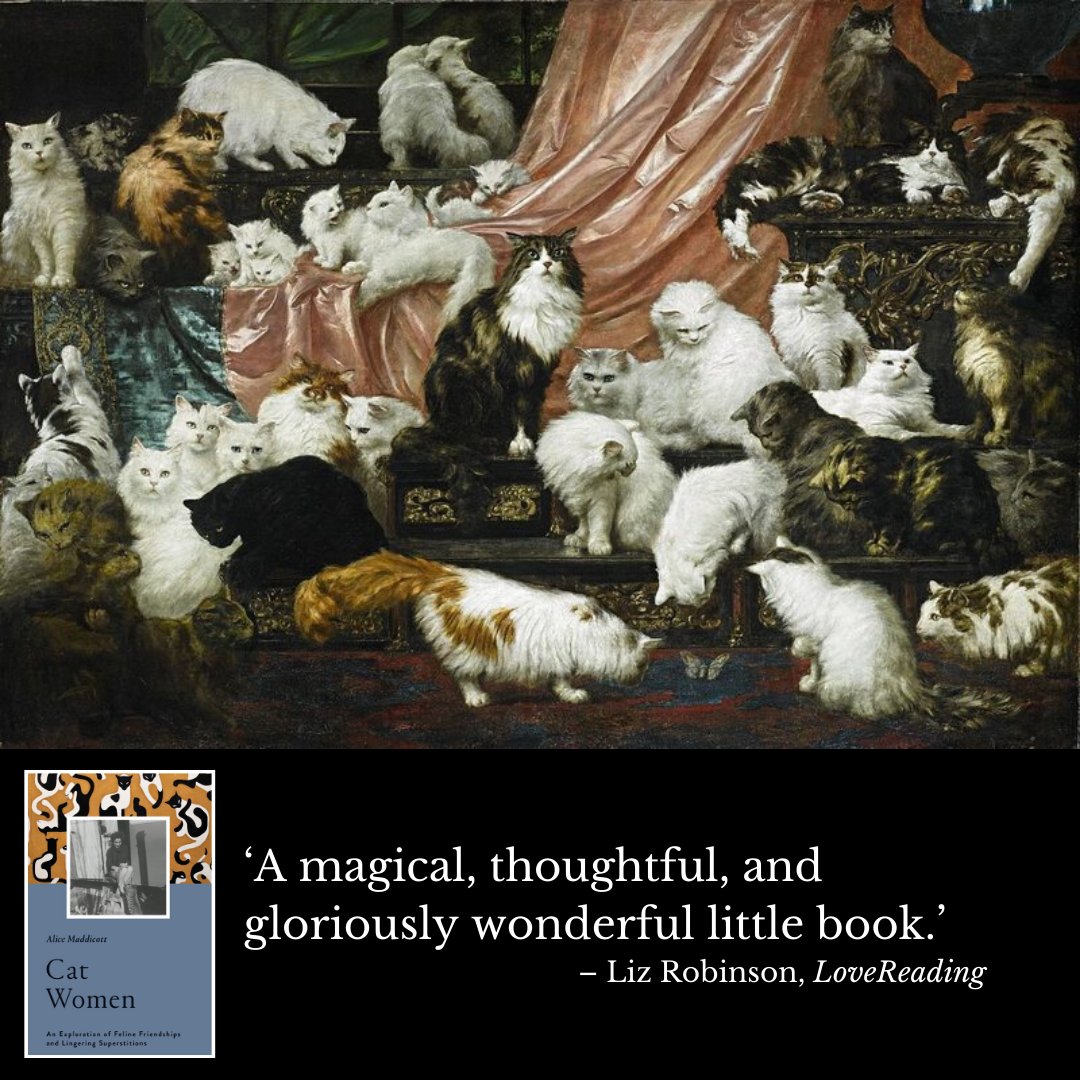 #CatWomen by @ghostsosilver is 'a magical, thoughtful, and gloriously wonderful little book'  - @LRLizRobinson

Read the full review on <a href="/LoveReadinguk/">LoveReading</a>: buff.ly/3bsTk7B