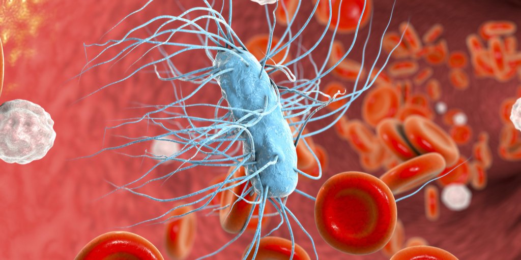 This is what drives us to develop our rapid diagnose bedside device. "Experts warn that patients lives are being put at risk due to delays in giving them treatment for sepsis.” Read the Hidden Killer
bbc.co.uk/news/health-48…
#antibiotics #infection #health <a href="/liaonet/">Bill Liao ☯</a> <a href="/SOSV/">SOSV - Deep Tech for Human and Planetary Health</a> <a href="/RebelBio/">RebelBio</a>