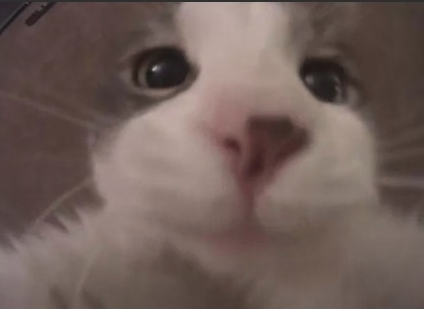 Couldn't leave out a legend.