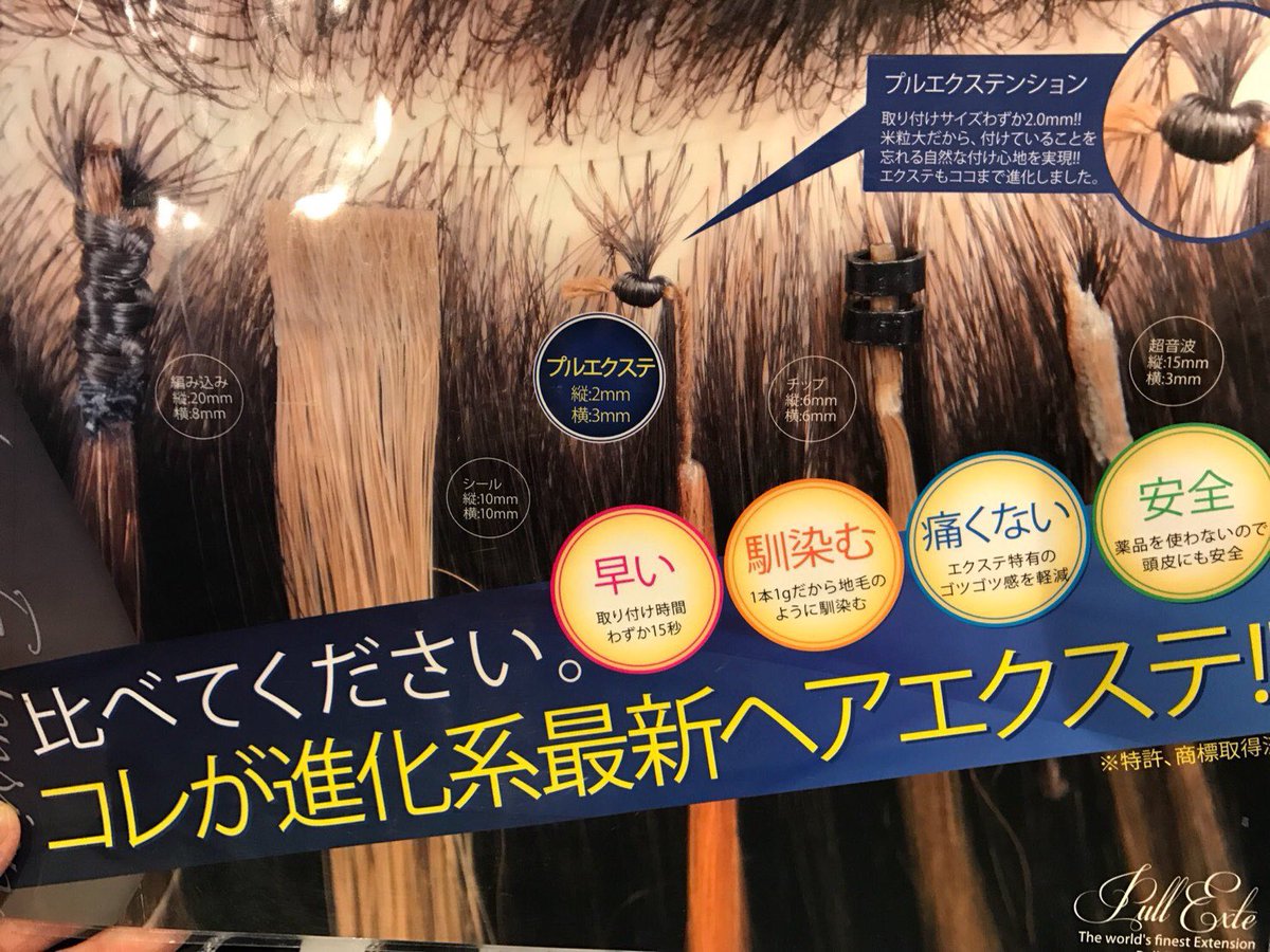 エクステモデル募集