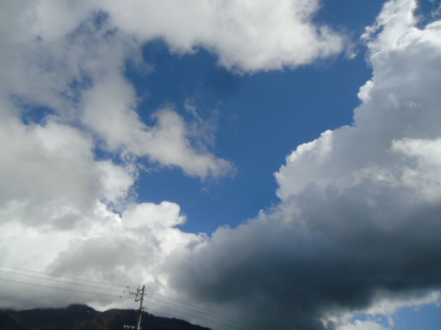 tshinrin's tweet photo. 天気予報通り暖かい日になりました！
��しぶりに雨が降り、大気の汚れが洗い流されたのか、青空がキレイだ！！ https://t.co/5a5O5hGq6l