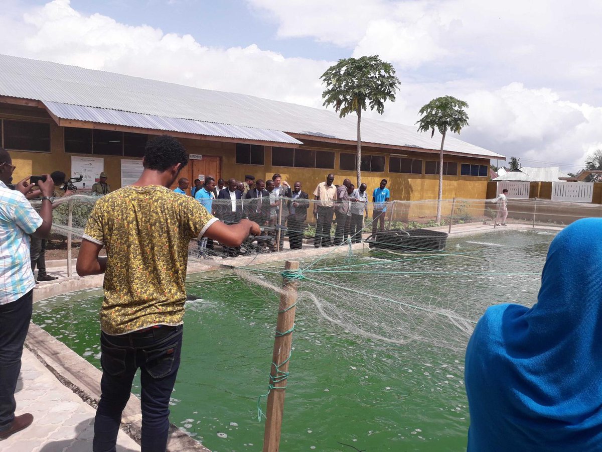 The unique FoodTechAfrica demonstration Big Fish farm in Tanzania opened yesterday!

Honoured by the presence of the excellency Dutch ambassador Jeroen Verheul &amp; Vice Minister of Livestock and Fisheries Abdallah Hamis.

Congratulations to all partners; we are open for visits!