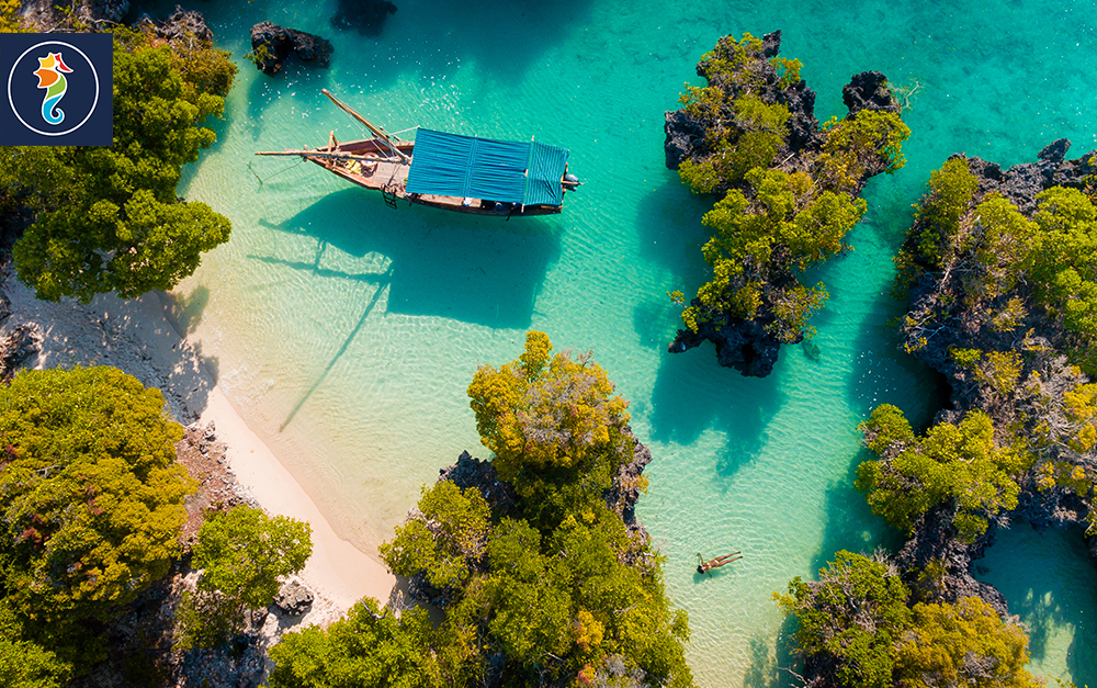 Selectour's tweet photo. #JeudiPhoto 📷 Les #lagons bleu turquoise de l'ïle #Pamunda à #Zanzibar☀️ https://t.co/q11WG2ScSt