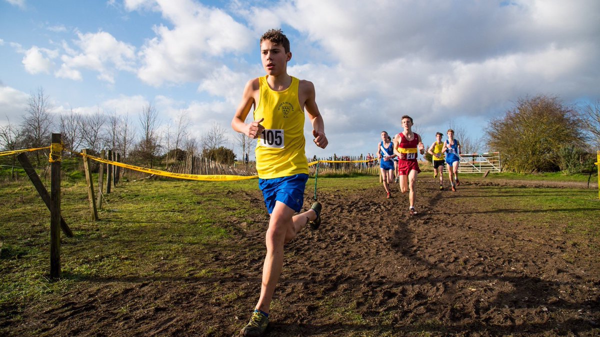 TeamYelling tweet media