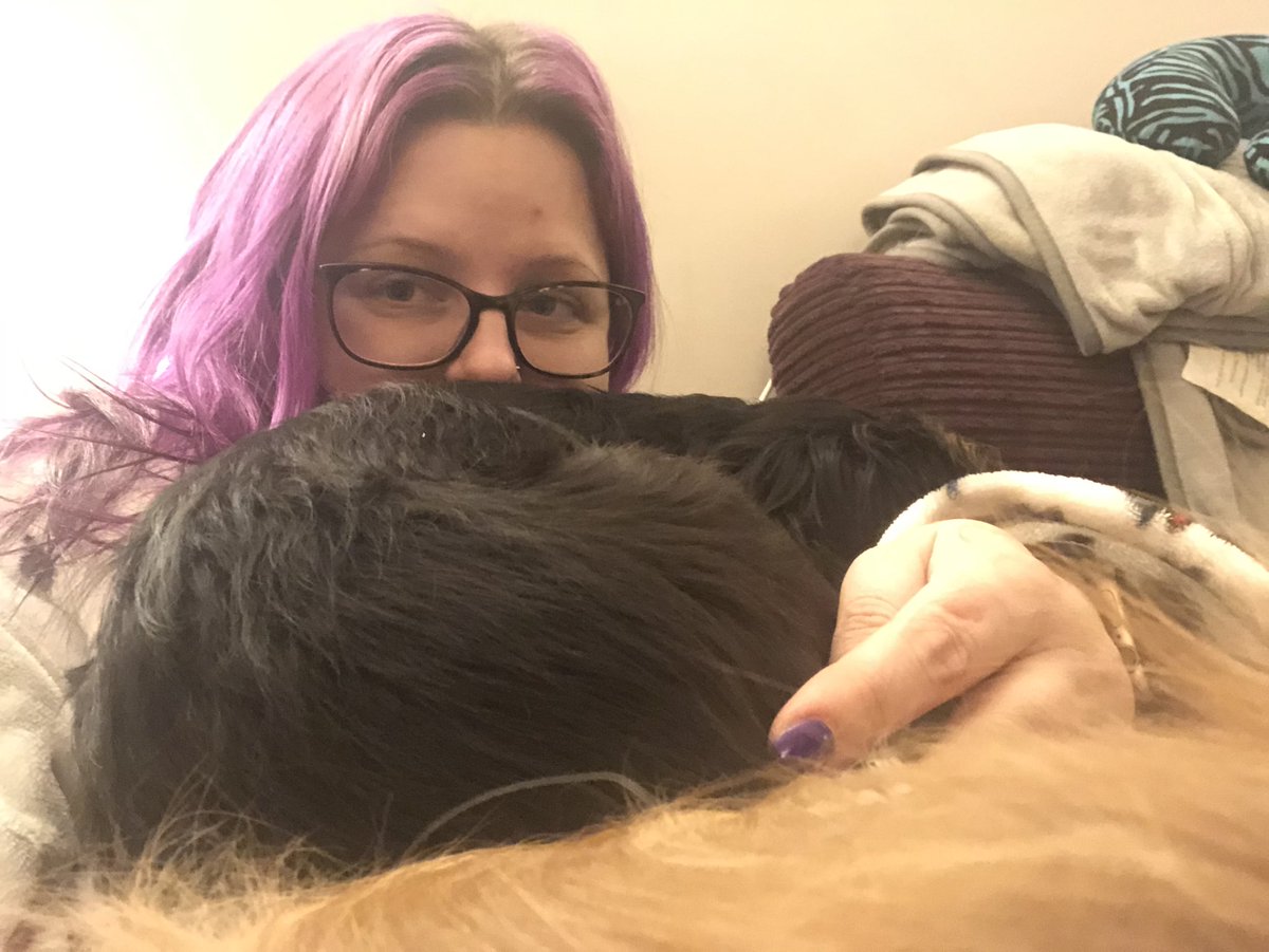HeidiCavalier's tweet photo. Mummy had a nasty procedure to try to help her walk properly again, so we’ve been looking after her. Aren’t we good pups! 💖💙 🐾 🐾 https://t.co/Y4dFwQMlQM