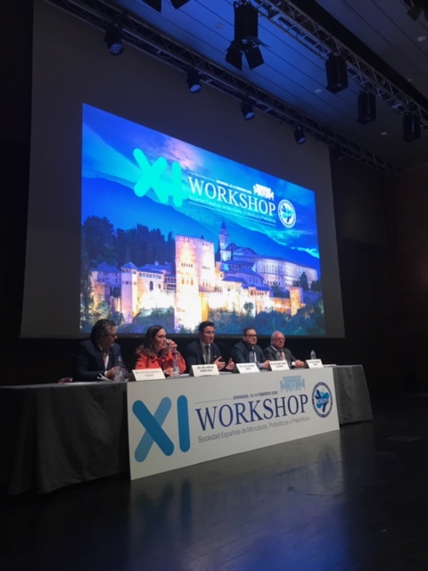 pcongresosgrx's tweet photo. El #Workshop de la #Sociedad Española de #Microbiota, #Probióticos y #Prebióticos,ha quedado inaugurado por el Excmo. Alcalde de #Granada, que finaliza su discurso de bienvenida animando a los congresistas a disfrutar de nuestra ciudad.@SEMiPYP #semipyp
Arrancamos! @LuisSalvador https://t.co/oZlEJgToZR