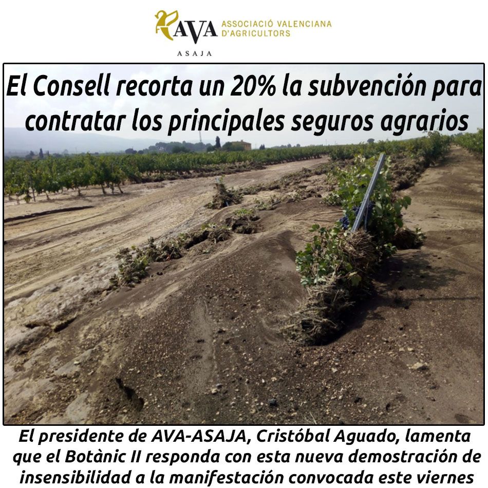 hosteleriaenvlc's tweet photo. EL CONSELL RECORTA UN 20% LA SUBVENCIÓN PARA CONTRATAR LOS PRINCIPALES SEGUROS AGRARIOS
https://t.co/p2RzPUgnNA
@ava_asaja #avaasaja #HosteleriaEnValencia #RecorteSubvencion #Subvencion #SegurosAgrarios #BotanicII #Manifestacion14Febrero #AgricultoresValencianos https://t.co/1fONHuR4i3