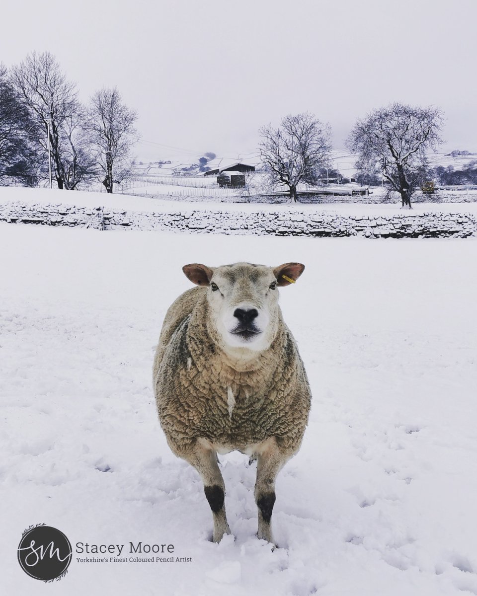Snow day in Hawes, The Yorkshire Dales❄️💙