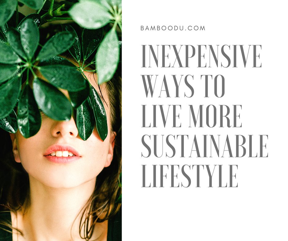 Inexpensive Ways to Live more Sustainable Lifestyle
bamboodu.com/inexpensive-wa…