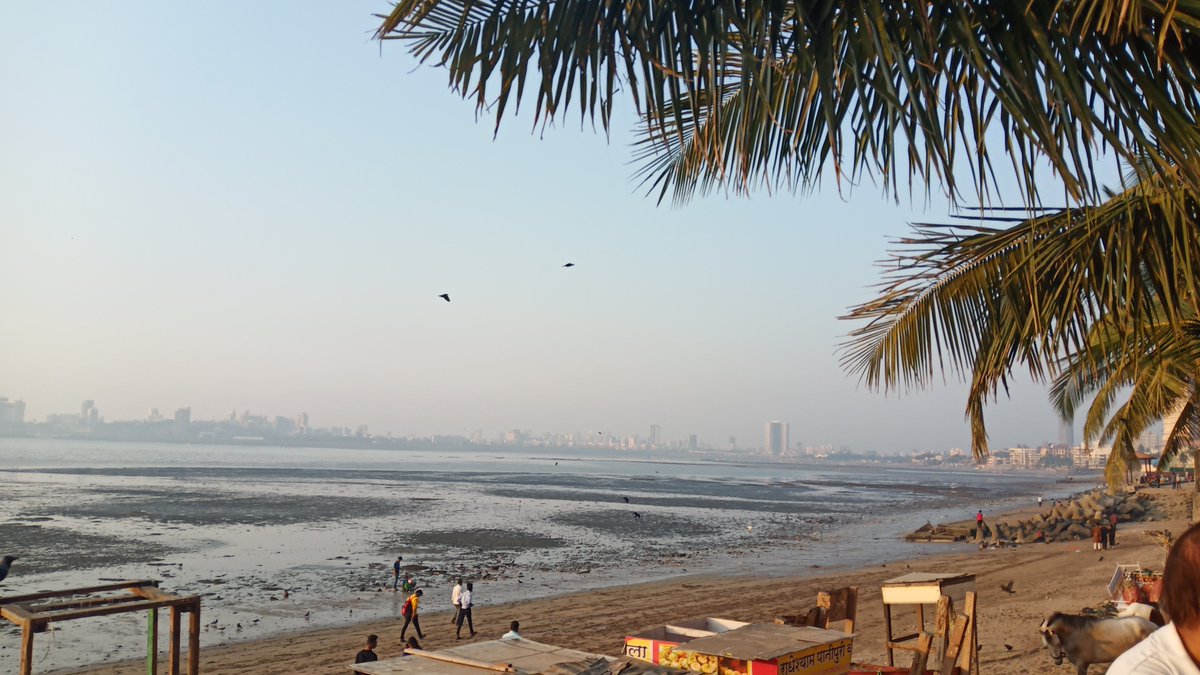 Tourismexplore1's tweet photo. Dadar Beach | Dadar Chaupati | Timing, Attraction, Things To Do

https://t.co/APghXSijjN

#dadar #dadarchaupatibeach #placestovisitindadar #dadarrailwaystation #mumbai #beach #bestbeach #mumbaibeach #shivajipark #mumbaifamousbeach #beaches #juhubeach #marinedrive #localtrain https://t.co/SeLzXFC3su