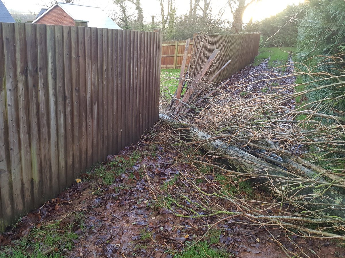 mkpsdevon's tweet image. Storm or Fence damage in the high winds in the Exeter area ? We are here to help. Call now 07938 705 795. #storm #damage #fence #exeter