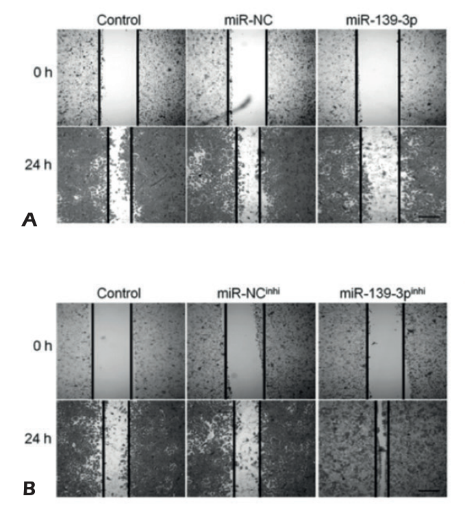 MicrobiomDigest's tweet photo. #ImageDuplication - Level advanced.
Find at least 2 problems here. https://t.co/ACw7IVk5qt