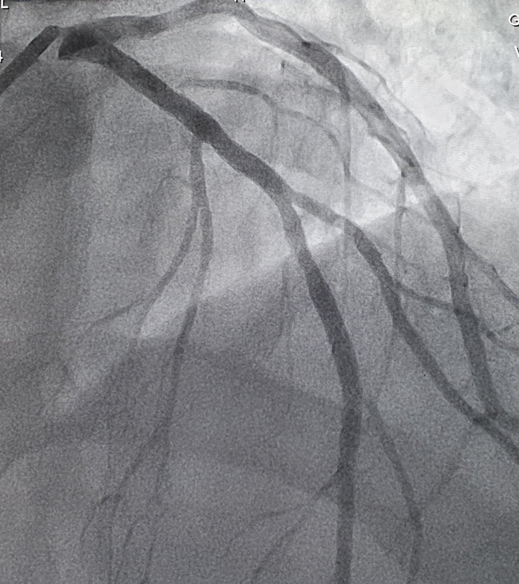 Tony Gershlick tweet media