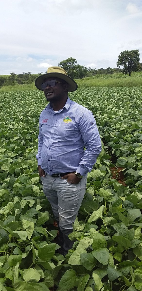 ItmosciFert's tweet photo. Doing what you love and you know best. You will never have to work again. It becomes a way of life @IMateveke #ItmosciNutriology #ExtraBoostFertilizer https://t.co/VH4qXd18XG