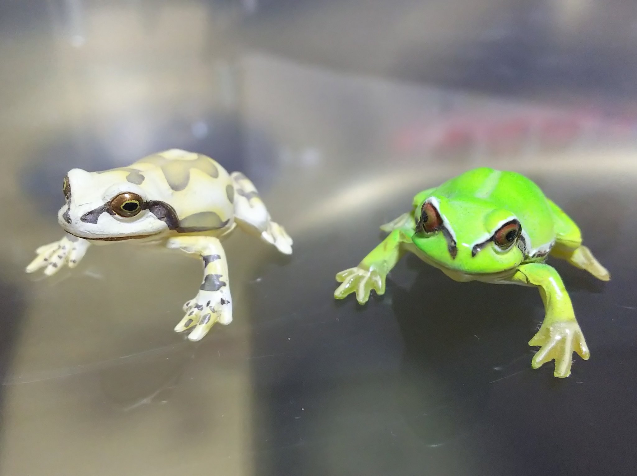 ぐるりん お気に入りフィギュア紹介 アマガエル リアルでしょ アニマルフィギュア フィギュア カエル アマガエル可愛い T Co Swnfsx3byi Twitter