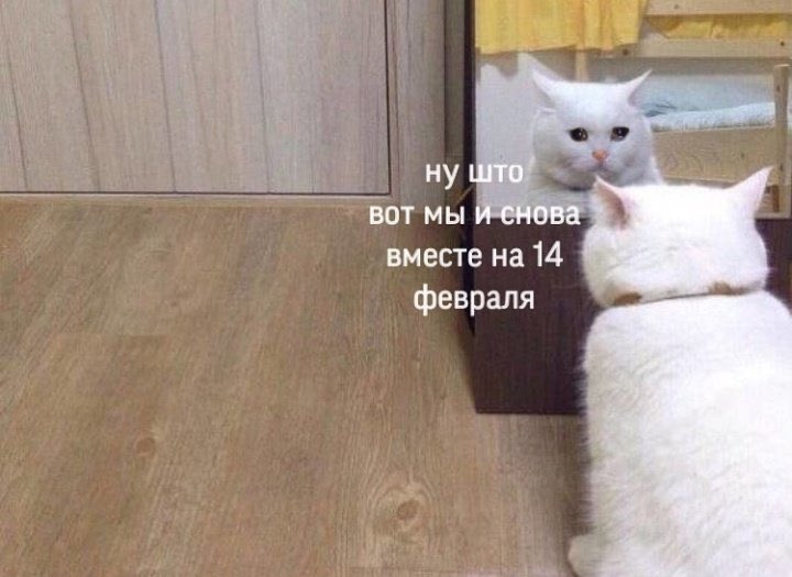 memesforwomen's tweet photo. https://t.co/jVeoWWYPYw