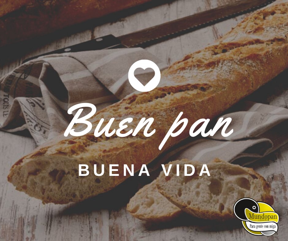 Resumen de 15 artículos buena como el pan [actualizado recientemente