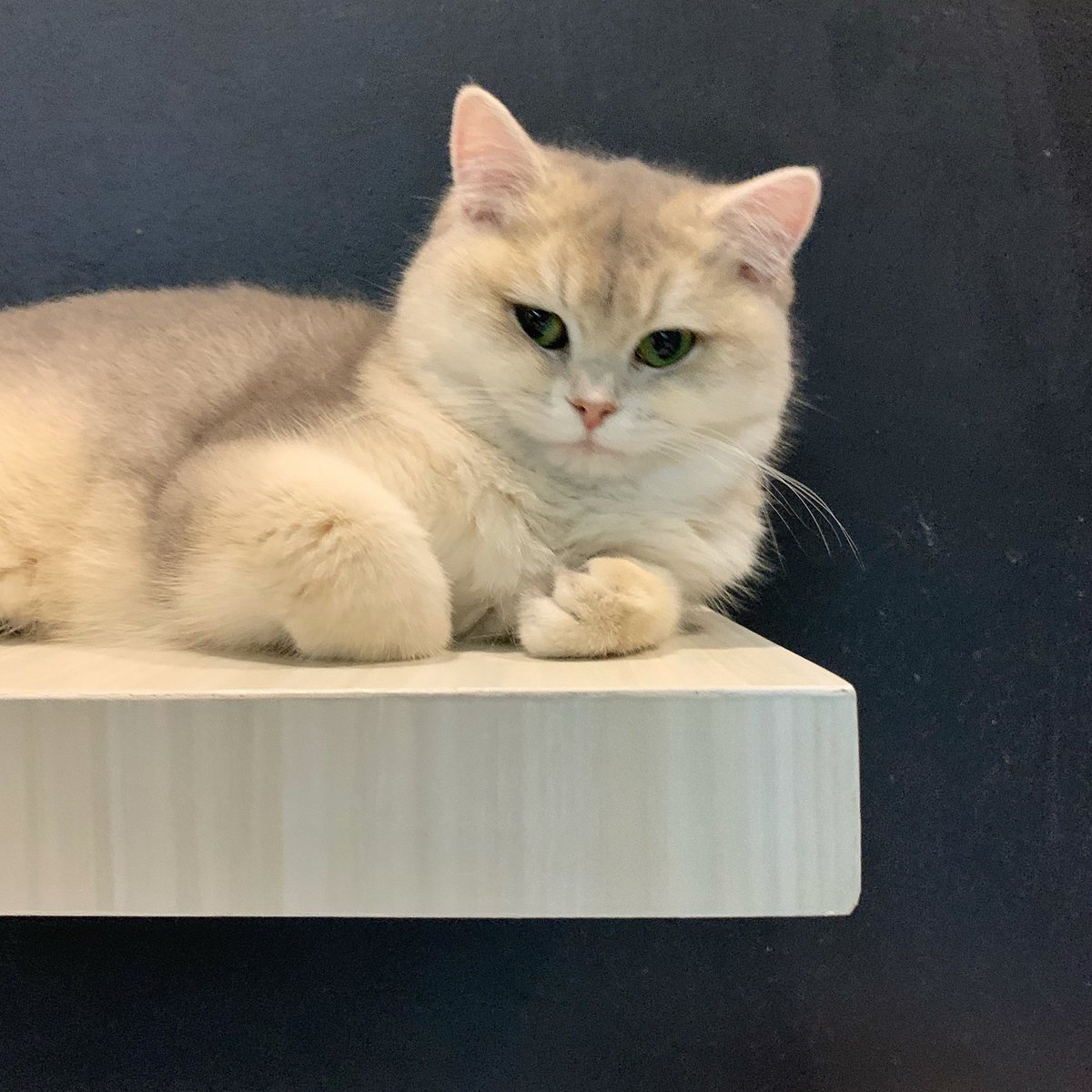 ตัวอะไร555555555555555555555555555555555