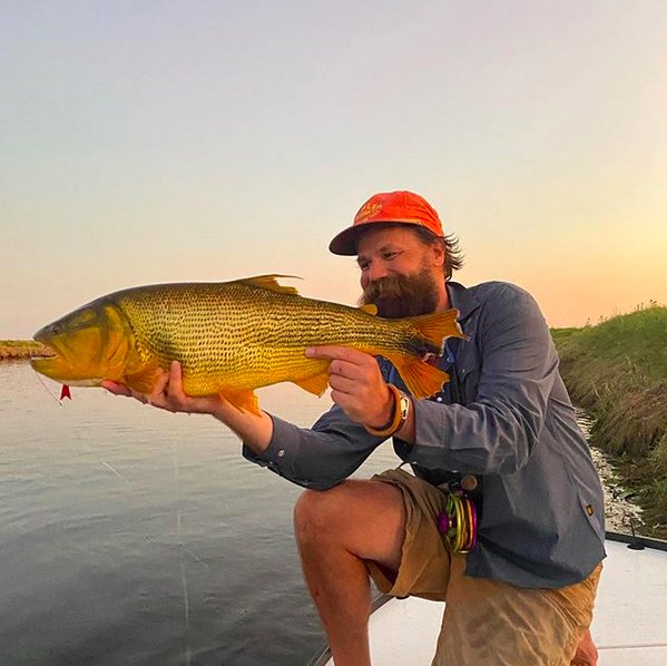 oliverfishing's tweet photo. Fishing was just insane last night at Pira Lodge. Had a fish on almost every cast for the last 45 minutes. It’s amazing to see those moments of greatness when everything lights up and it all comes together. #flyfishing https://t.co/Hn8UXUth4Z
