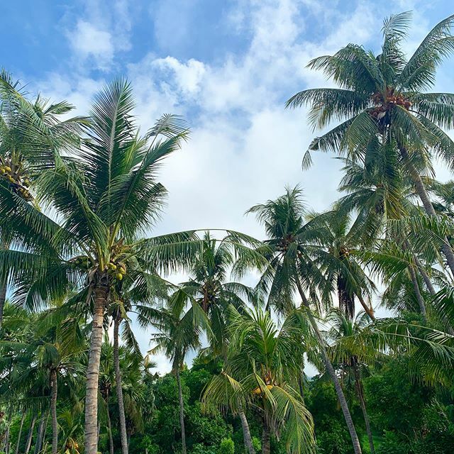 GlobalMary's tweet image. Bali 💚 ift.tt/2OOaJxC