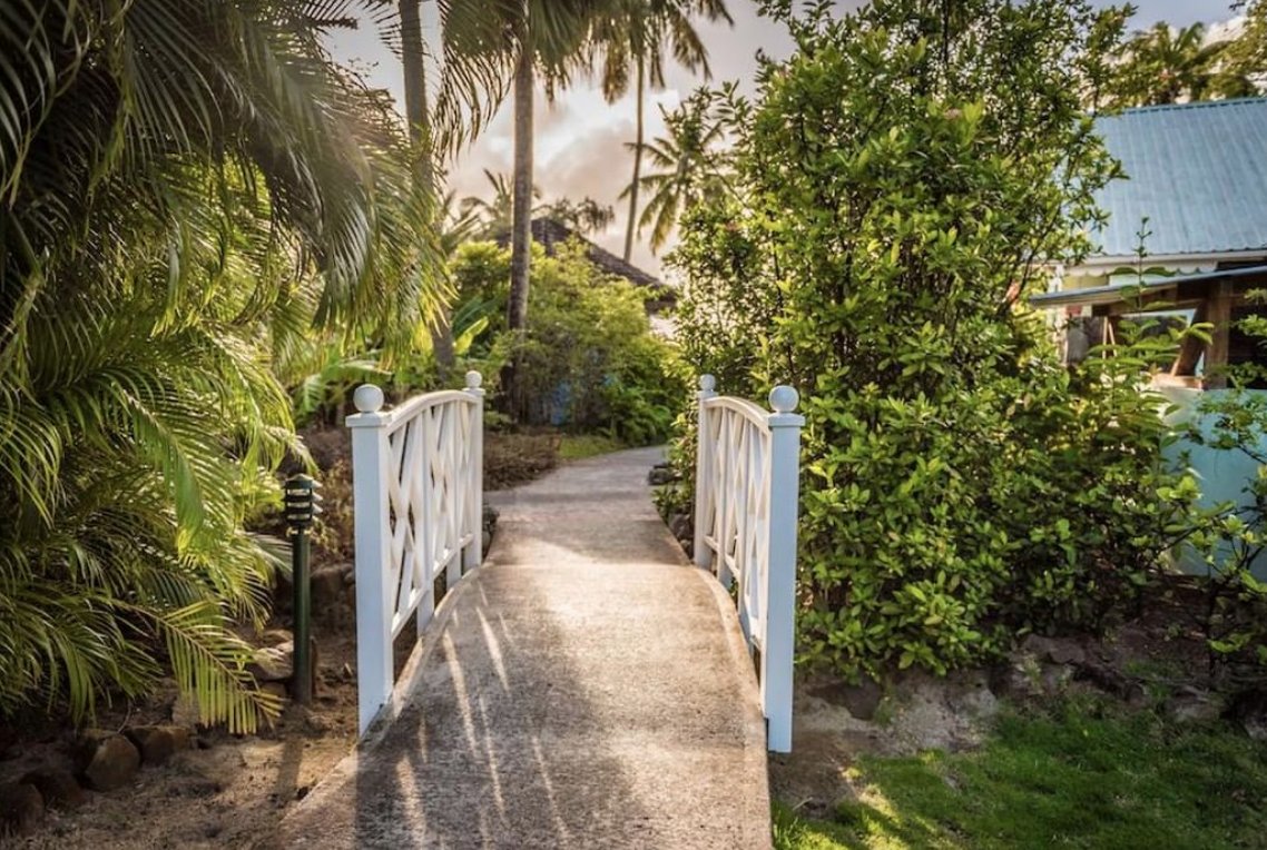 Essential Detail tweet media