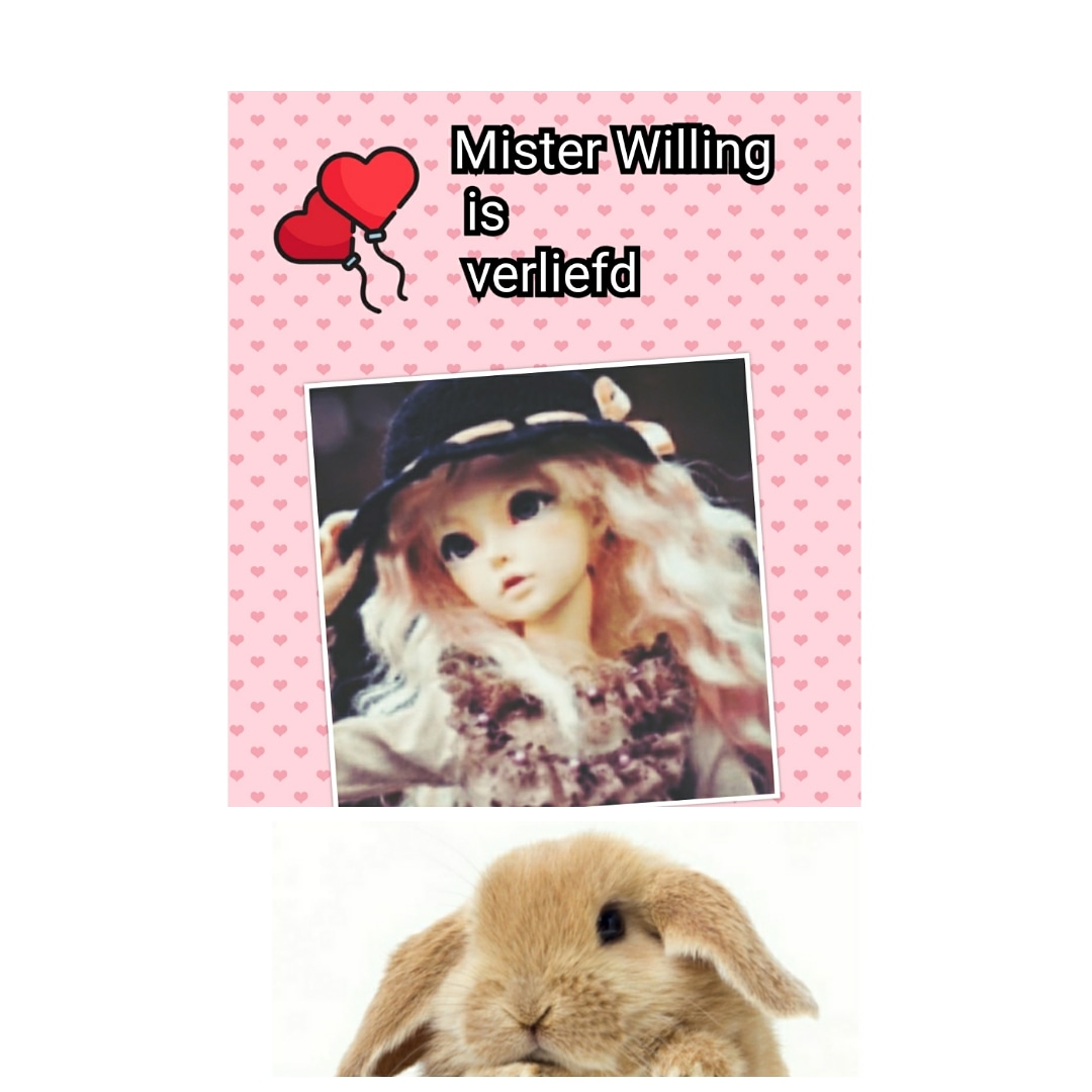 Sandra Ringoot tweet media