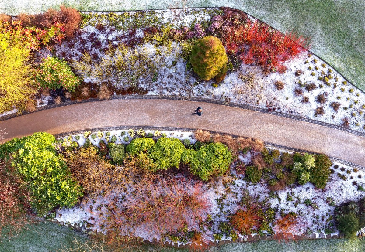 RHSPressOffice (@rhspressoffice) on Twitter photo Chris Gorman captures the beautiful Winter Walk at RHS Garden Harlow Carr from above 🌱📷 #RHS <a href="/RHSHarlowCarr/">RHS Harlow Carr</a> <a href="/bigladderdrone/">𝔹𝕚𝕘 𝕃𝕒𝕕𝕕𝕖𝕣 ℙ𝕙𝕠𝕥𝕠𝕘𝕣𝕒𝕡𝕙𝕖𝕣 ™</a>
thetimes.co.uk/article/news-i… Chris Gorman captures the beautiful Winter Walk at RHS Garden Harlow Carr from above 🌱📷 #RHS <a href="/RHSHarlowCarr/">RHS Harlow Carr</a> <a href="/bigladderdrone/">𝔹𝕚𝕘 𝕃𝕒𝕕𝕕𝕖𝕣 ℙ𝕙𝕠𝕥𝕠𝕘𝕣𝕒𝕡𝕙𝕖𝕣 ™</a>
thetimes.co.uk/article/news-i…