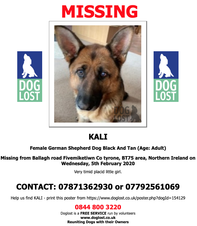 DogLostUK's tweet photo. https://t.co/jt1sXwNKjV
#LOST #DOG KALI
Female #GermanShepherd Dog
#Missing ballagh road #Fivemiketiwn Co tyrone, #BT75 Wednesday, 5th February 2020 #LostDog #ScanMe https://t.co/0S0YH7gjql @VetsGetScanning @SAMPAuk_ https://t.co/hDJT3RzGVm