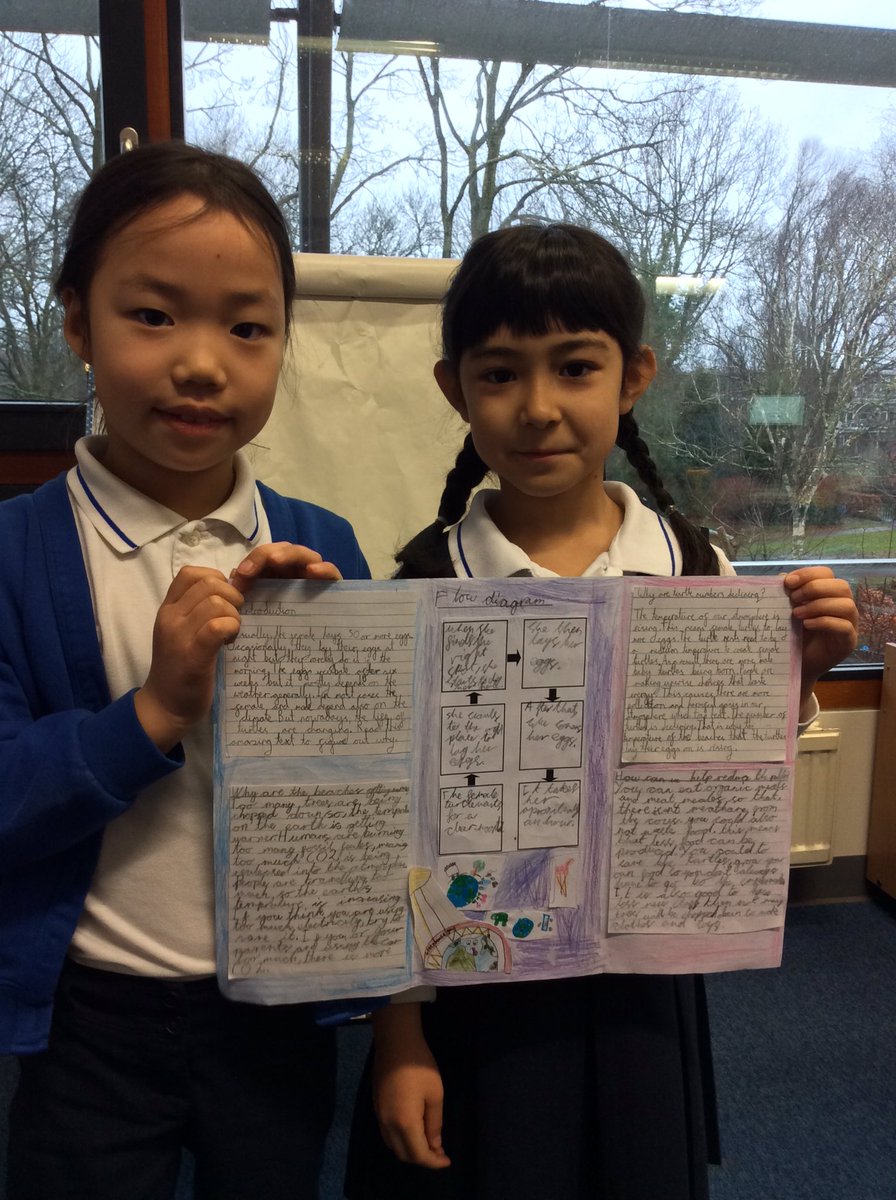 BSNJSV's tweet image. #JSVY3 are now publishing their explanation texts, detailing why the population of sea turtles is plummeting. It’s great to see three weeks of research and writing coming together!