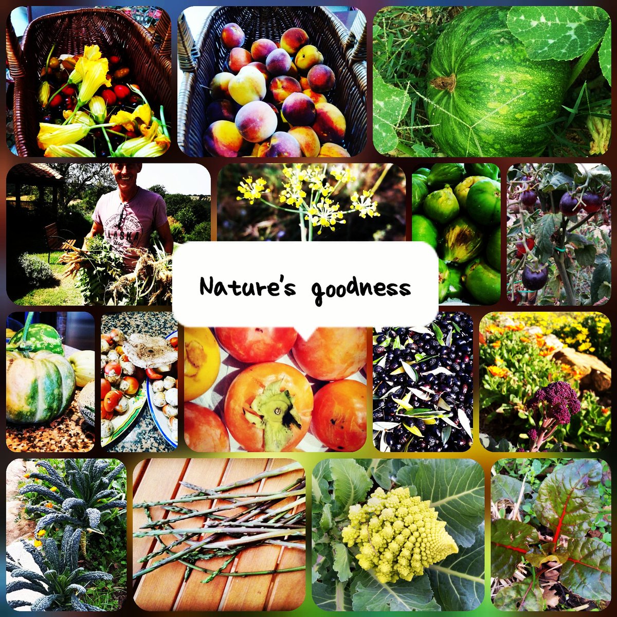 PoggioMonte's tweet photo. From our #garden #healthcare #naturesmedicine https://t.co/EJ3rCn89vU