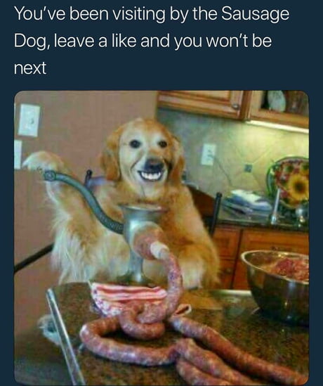 EQpe-UjXsAAMfYI?format=jpg&name=small