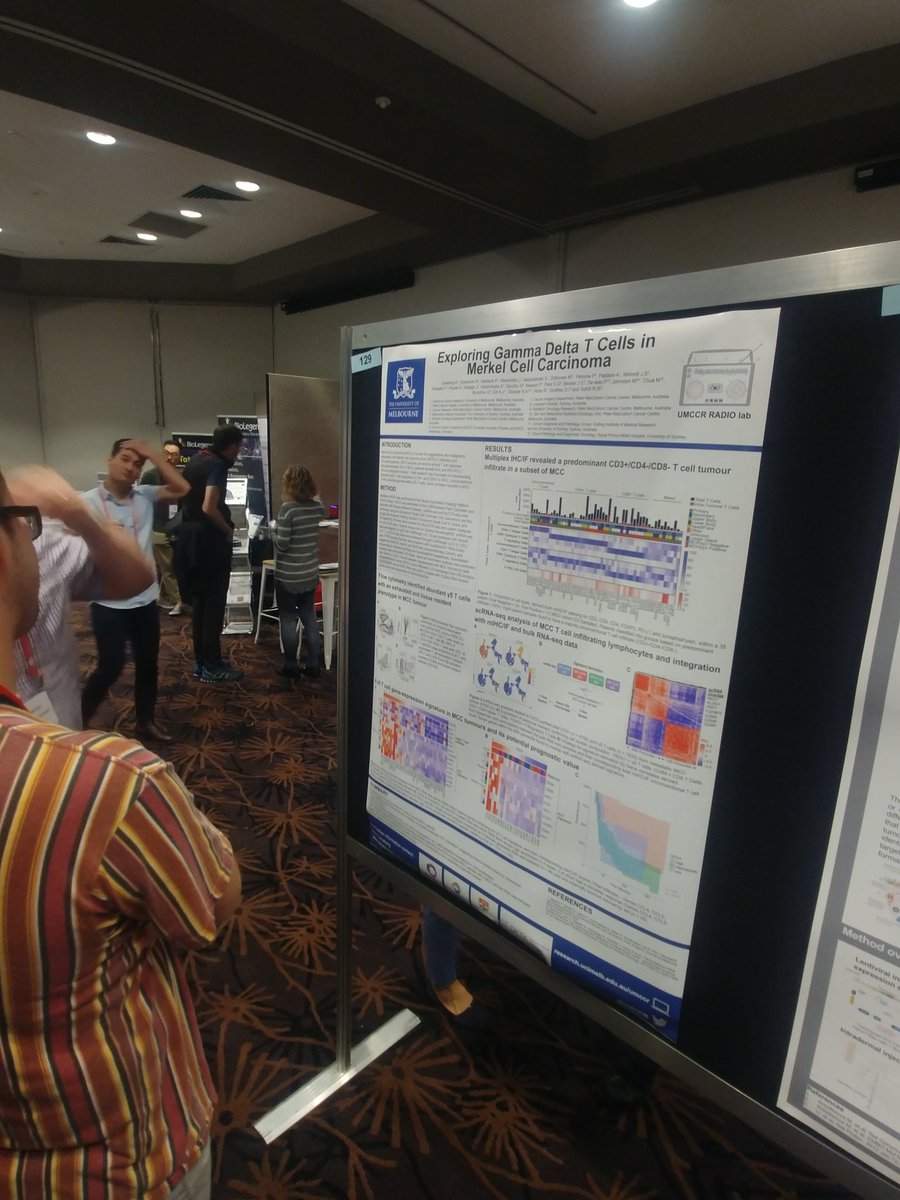 Alex Caneborg explaining how gamma delta T cells are important in Merkel Cell Carcinoma. #lornecancer @UMCCR