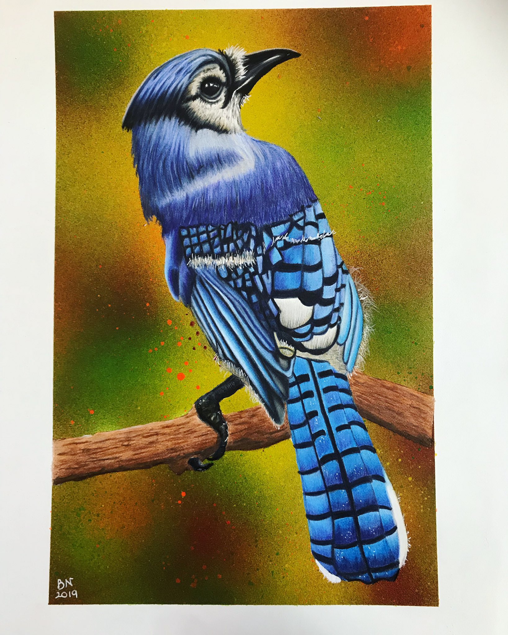 1,316 Pencil Drawing Parrot Images, Stock Photos, 3D objects, & Vectors |  Shutterstock