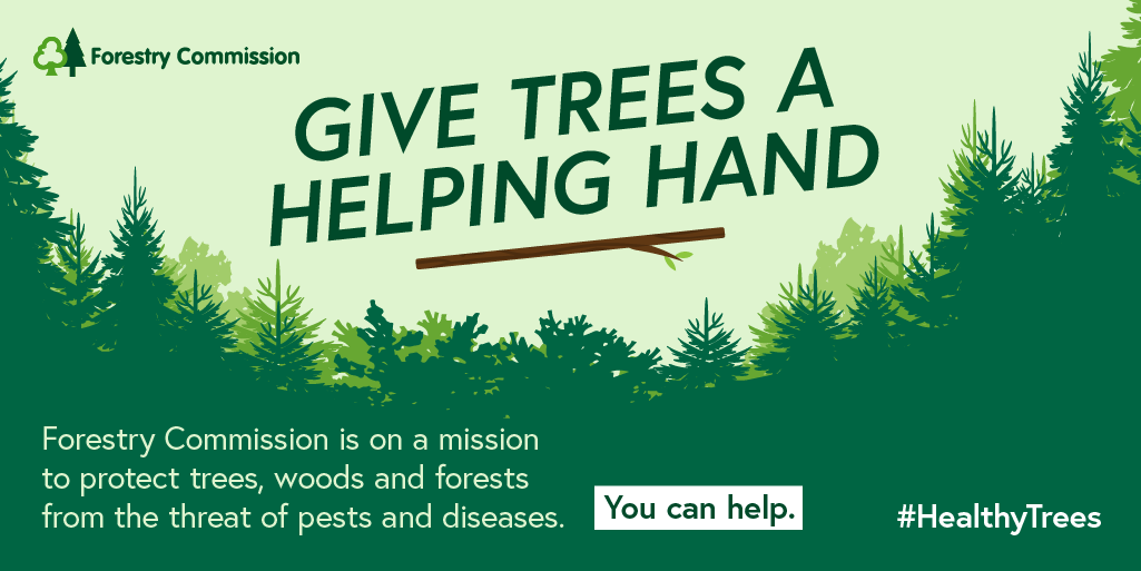 Forestry Commission is on a mission to protect trees, woods and forests from the threat of pests and diseases. You can help. Visit forestrycommission.blog.gov.uk/2020/02/13/giv… to find out how. #HealthyTrees #IYPH2020