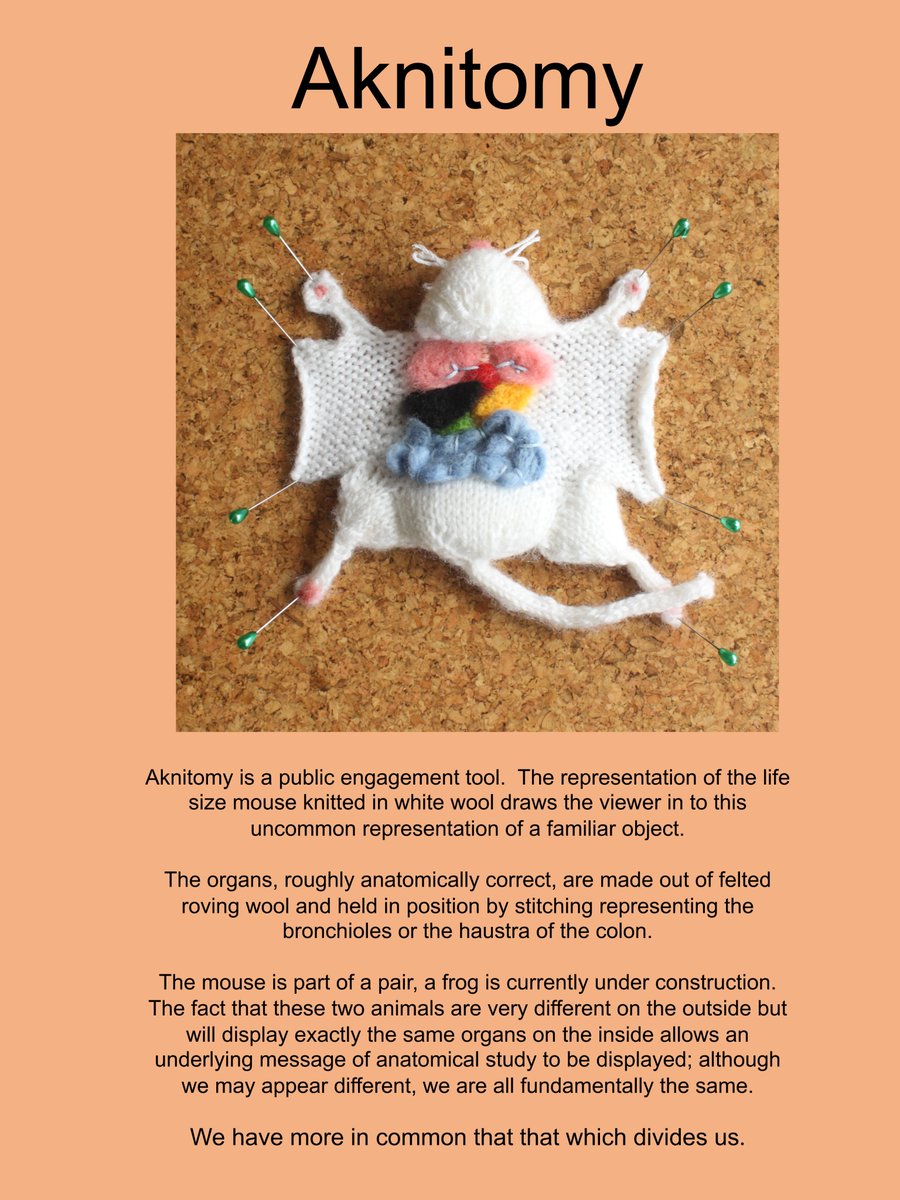 IASanatomy's tweet photo. Our Open Competition is for #anatomy work that doesn't fit into our other prize categories. The scope of possible entries is endless. Here are some past examples & more details about the competition. #anatomicalart #histology #teachingaids #anatomyvideos #anatomymodels 🎨📽️🔬🧶💻 https://t.co/Ypy52vko49