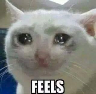 𝒞𝒽𝒶𝓃𝒹𝓇𝒜𝓃𝑜𝓃 tweet media