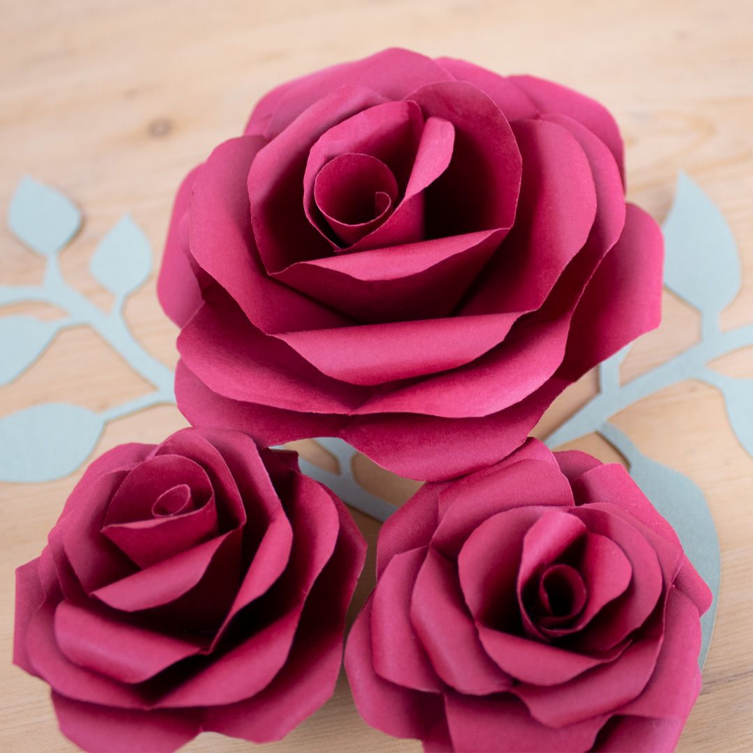 We can never get enough of paper flowers 🌹❤️