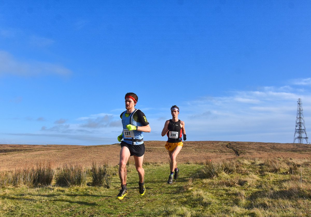 Harry Holmes tweet media