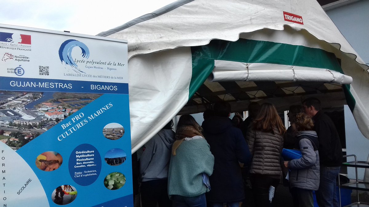 maeebdx's tweet photo. Lancement du forum du clee du sud bassin au collège de La Teste.
# parcours avenir #EcoleEntreprise 
@acbordeaux @DafpicBordeaux https://t.co/qKhQ8B1w9P
