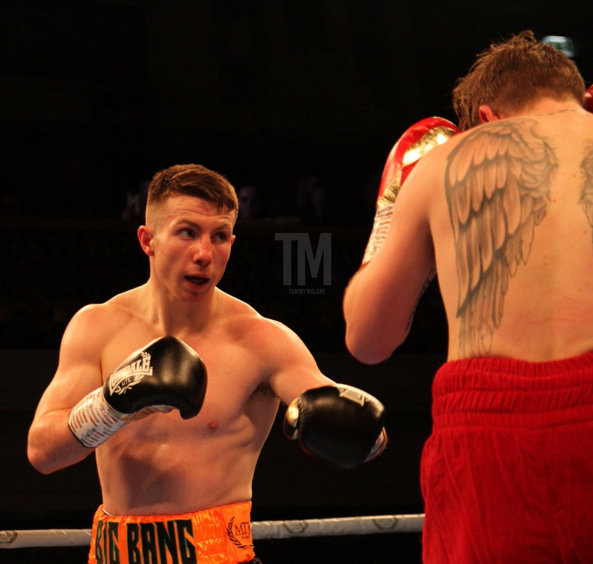 Boxing Hub Belfast tweet media