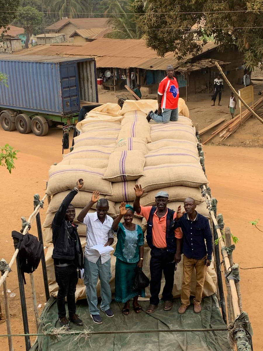 First container of #cocoa from Ngoleagorbu farmers has left Kenema! From communities around #GolaRainforest > Kenema > Freetown & on route to Europe to make delicious, Forest Friendly chocolate! Congratulations Ngoleagorbu Cocoa Farmers Union #sustainable